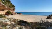 Top Miami Platja