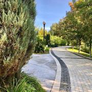 Top Vishenki Top Vishenki