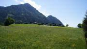Top Reith im Alpbachtal