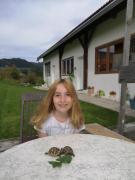 Top Sankt Marein bei Knittelfeld