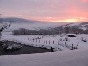 Top Vernay