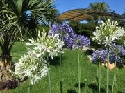 Top Fiumefreddo di Sicilia