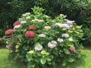 Top Fiumefreddo di Sicilia