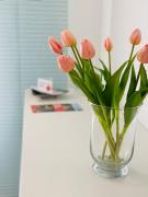 Top Schweigen-Rechtenbach