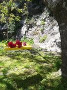 Top Sintra Top Sintra