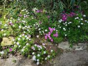 Top Calafell Top Calafell