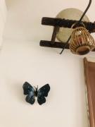 Top Polignano a Mare