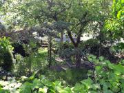 Top Międzyzdroje Top Międzyzdroje