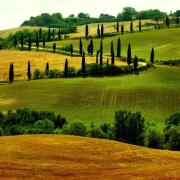 Top Montepulciano