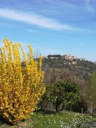 Top Montepulciano