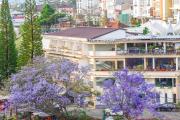 Top Da Lat