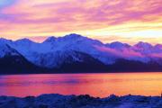 Top Seward