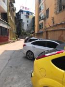 Top Meishan