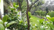Top Petrovac na Moru