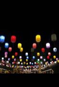 Top Fuyang