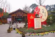Top Chengdu