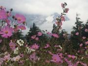 Top Lijiang