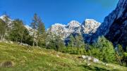 Cottages Kravanja