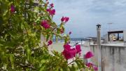 Top Polignano a Mare
