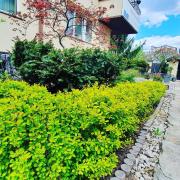 Top Warszawa Top Warszawa