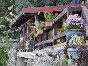 Casa Vacanze Morselli