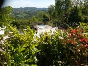 Top Urbino