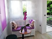 Split Symphony Veranda: Modern, new Apartment (4+1), 5 min walk to ˝Firule˝ SAND BEACH, 12 min walk to CITY CENTER Split Symphony Veranda: Modern, new Apartment (4+1), 5 min walk to ˝Firule˝ SAND BEACH, 12 min walk to CITY CENTER