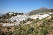 Top Casares