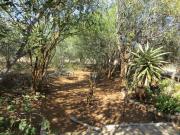 Top Hoedspruit