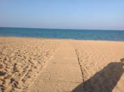 Urbanizacion primera línea de playa