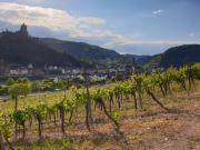 Top Cochem