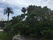 Top Sant Carles de la Ràpita