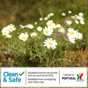 Top Penhas da Saúde Top Penhas da Saúde