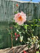 Top Vila do Bispo Top Vila do Bispo