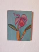 Top Vila do Bispo Top Vila do Bispo