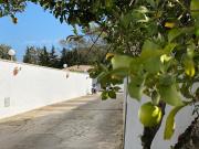 Top Conil de la Frontera