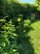 Top Thonon-les-Bains