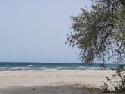 Top Mamaia Nord