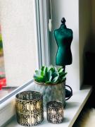 Top Świnoujście Top Świnoujście