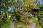 Top Monteverde