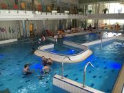 Top Velence Top Velence