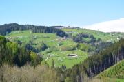 Top Waidhofen an der Ybbs