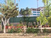 Top Vlorë