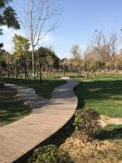 Top Xichang