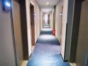 Top Zigong