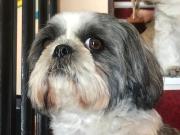 Top Tourrettes-sur-Loup