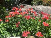 Top Tourrettes-sur-Loup