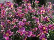 Top Tourrettes-sur-Loup