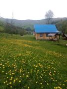 Cottage Лісовий Cottage Лісовий