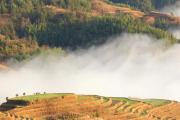Top Longsheng